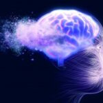 Frontal lobe’s method for separating information inspires more adaptable AI