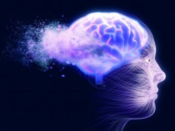 Frontal lobe’s method for separating information inspires more adaptable AI